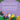 Autism Paperback Book - Mírame florecer cuando aprendo a compartir - Daily Bloom