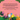 Autism Paperback Book - Mírame Florecer Cuando Hago Amigos Nuevos - Daily Bloom
