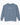 Autism Sweatshirt - Acceptance Statement Comfort Colors Lightweight Sweatshirt - Daily Bloom