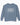 Autism Sweatshirt - Classroom Wrangler Comfort Colors Lightweight Sweatshirt - Daily Bloom