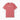 Autism T-Shirt - Acceptance Statement Comfort Colors Tee - Daily Bloom