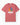 Autism T-Shirt - Brainbow Comfort Colors T-Shirt - Daily Bloom
