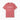 Autism T-Shirt - Inclusion Definition - Southern Style Comfort Colors Tee - Daily Bloom