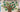 A classroom 'Our Kindness Tree' bulletin board covered in green paper leaves, each naming a specific kind act a student did, from holding the door to including a classmate at lunch.
