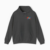 I Love Someone Who Is Autistic Hoodie