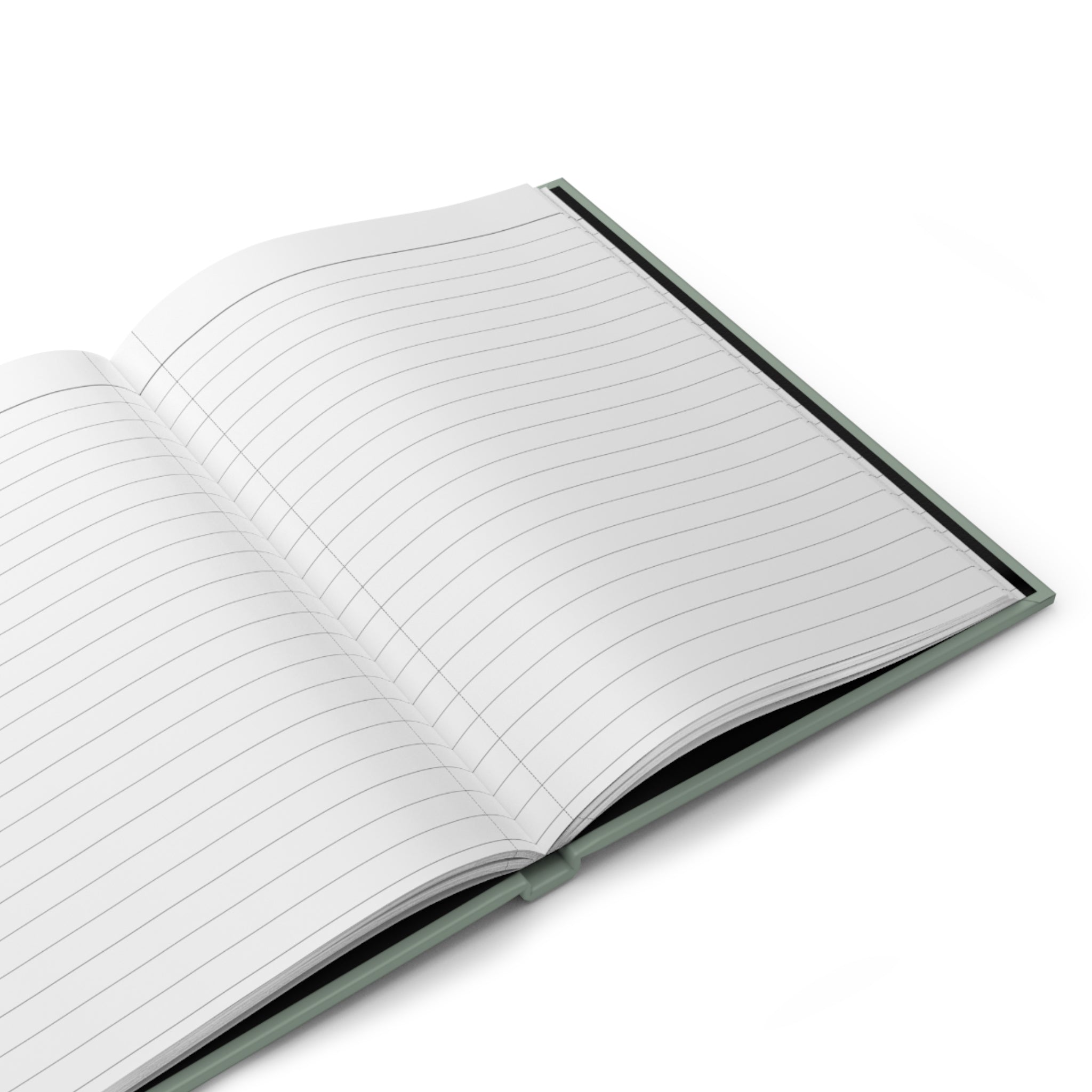 Educate Accommodate Celebrate Journal - Sage