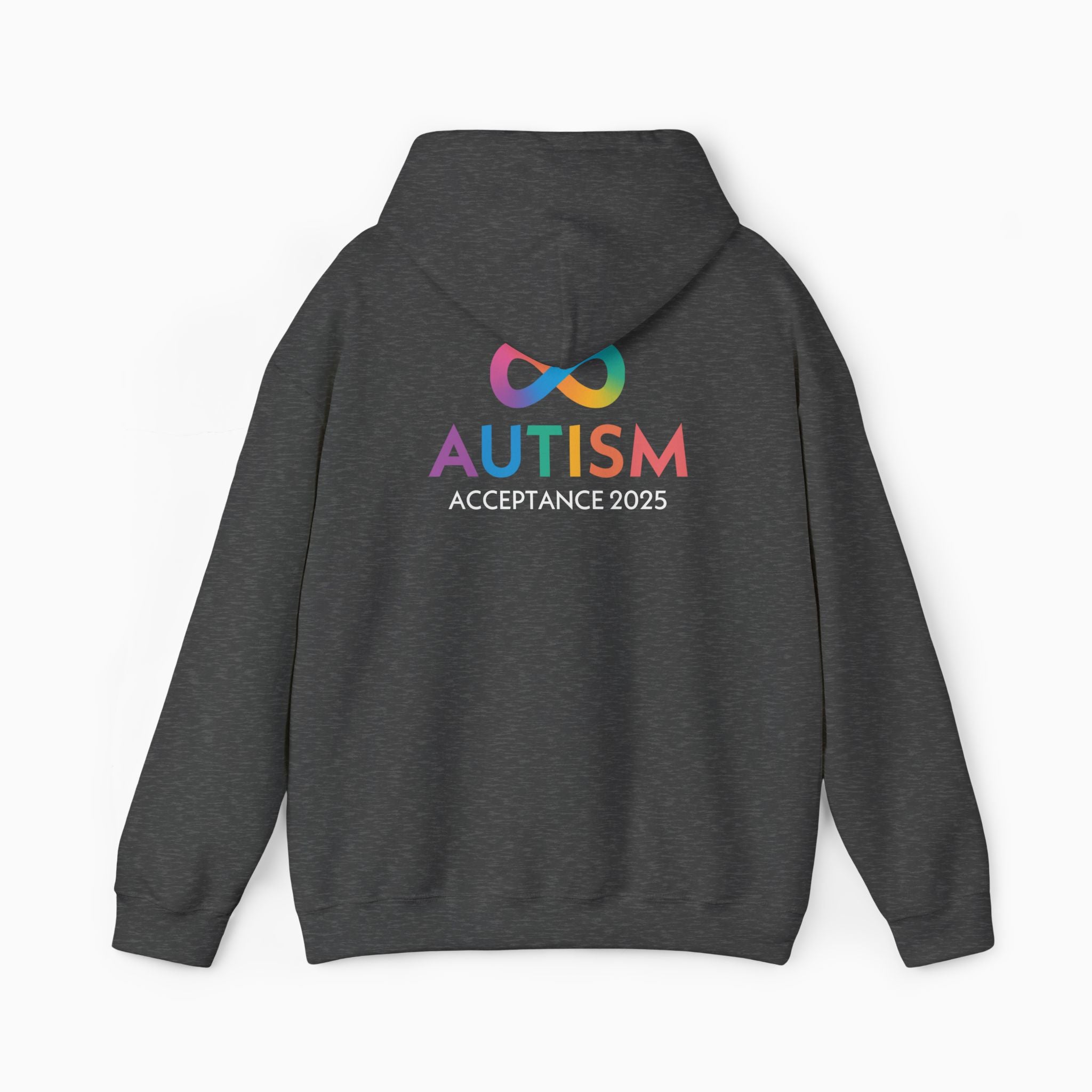 Autism Awareness 2025 - Infinity Acceptance Hoodie