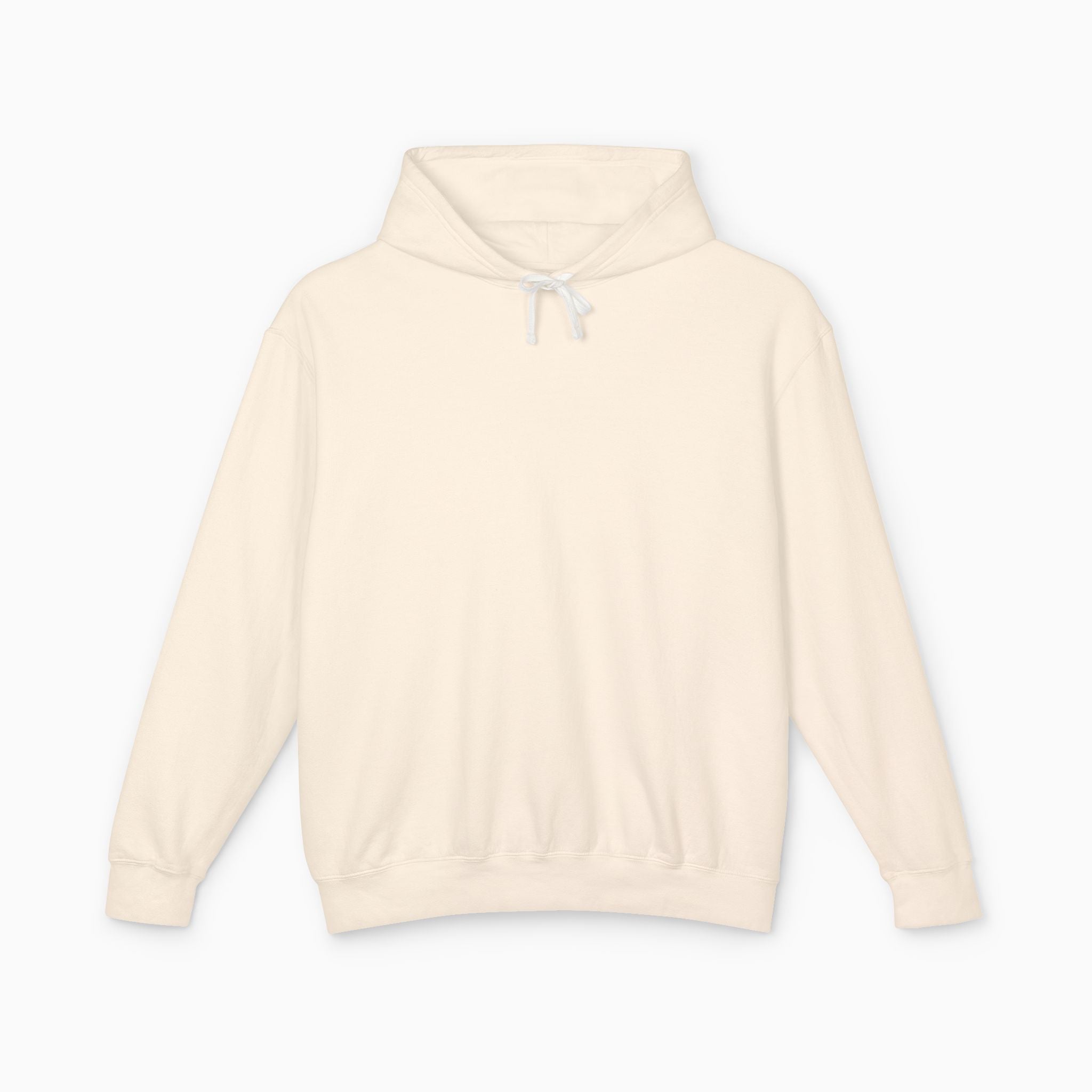 Autism Didn't Destroy Us Comfort Colors Lightweight Hoodie