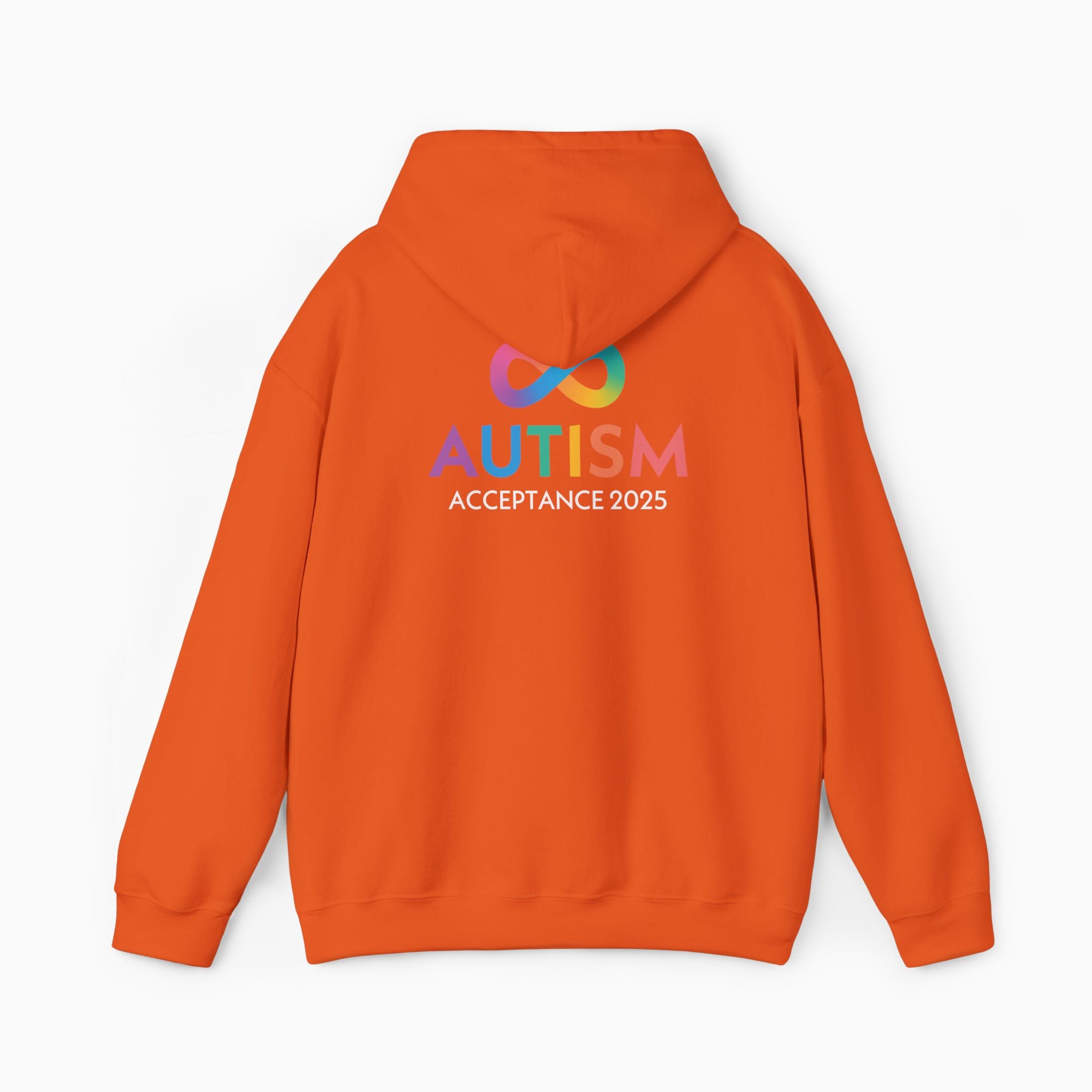 Autism Awareness 2025 - Infinity Acceptance Hoodie