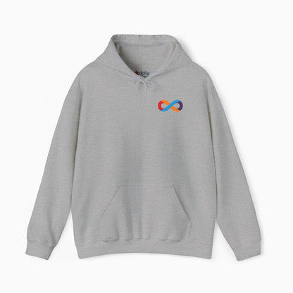 I Love Someone Who Is Autistic Hoodie