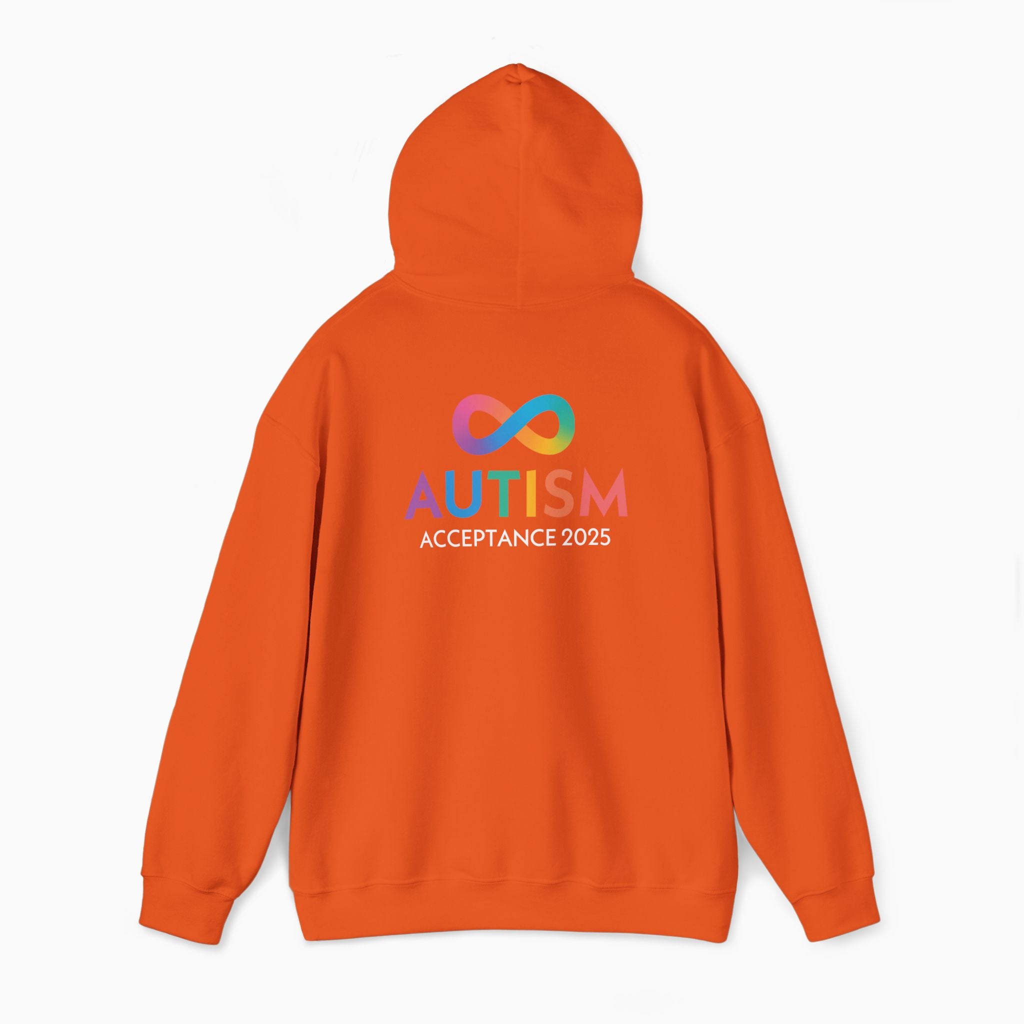 Autism Awareness 2025 - Infinity Acceptance Hoodie