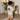 Model wearing the Heather Wildly Sweet toddler sweatshirt, back print