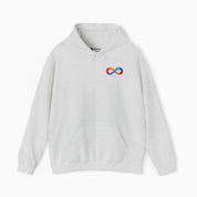 Autism Hoodie By Daily Bloom I Love Someone Who Is Autistic Hoodie
