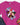 Autism Kids clothes - Bloom Buddies Profile Pictures Kids T-Shirt - Daily Bloom