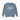 Autism Sweatshirt - Classroom Wrangler Comfort Colors Lightweight Sweatshirt - Daily Bloom