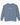 Autism Sweatshirt - Inclusion Statement Comfort Colors Lightweight Sweatshirt - Daily Bloom