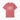 Autism T-Shirt - Classroom Wrangler Comfort Colors Tee - Daily Bloom